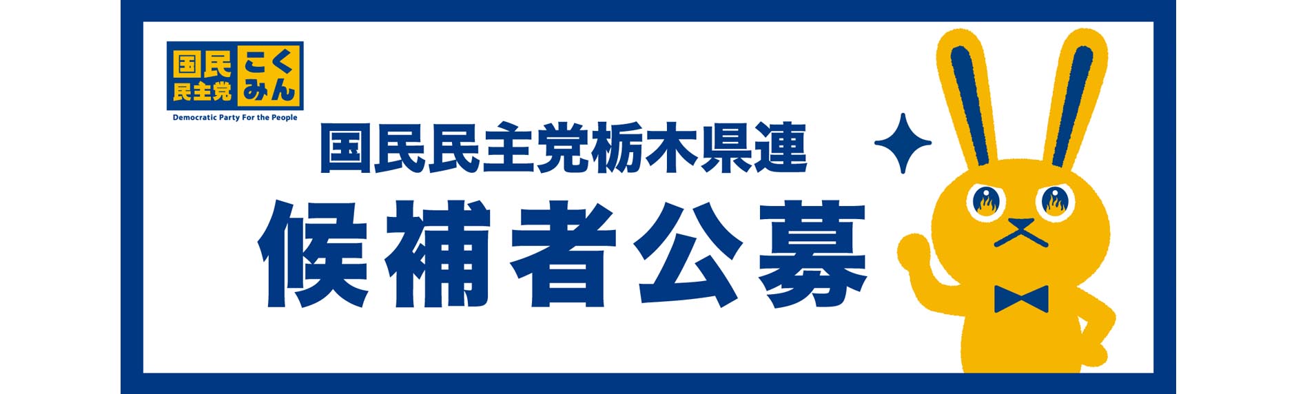 国民民主党栃木県連　候補者公募